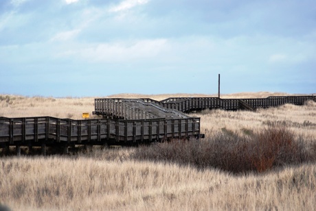 Walker Architects Photography