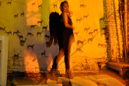 Personal Fashion Project