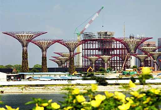 Supertrees at Marina bay Gardens in Singapore