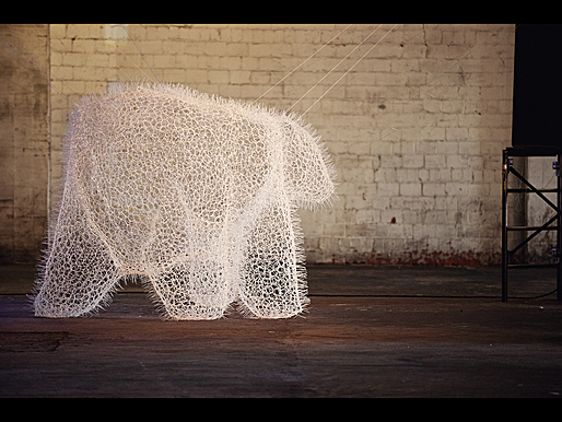 Photographs by GLINTstudio