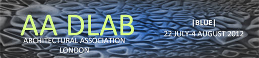 AA DLAB 2013