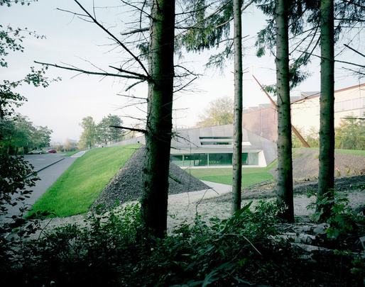 View from the edge of the forest (Photo: David Schreyer)