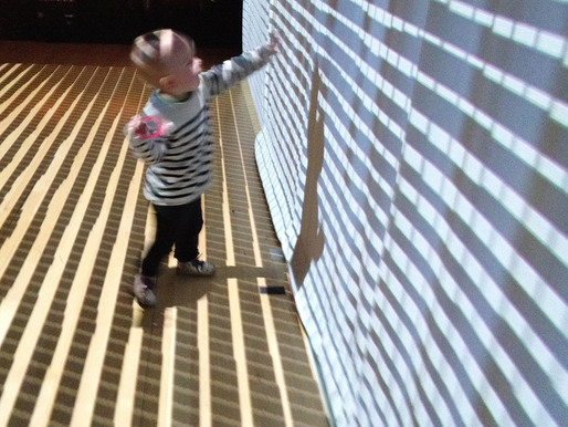 Bio-Responsive Building Envelopes