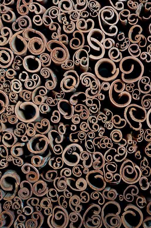 Detail of high-quality cinnamon (Photo: Pasi Aalto / pasiaalto.com)