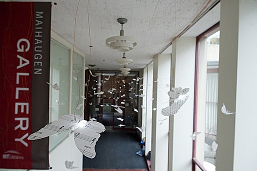 Bibliodoptera, by Elana Jessop and Peter Torpey. On display in the corridor along the Hayden Library Courtyard.