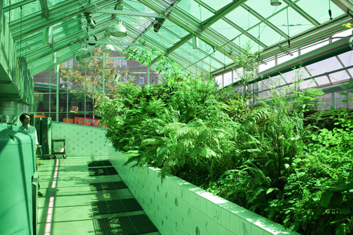 Neukom Vivarium Neukom Vivarium