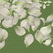Rifkin Design