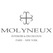 J.P. Molyneux Studio