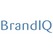 BrandIQ