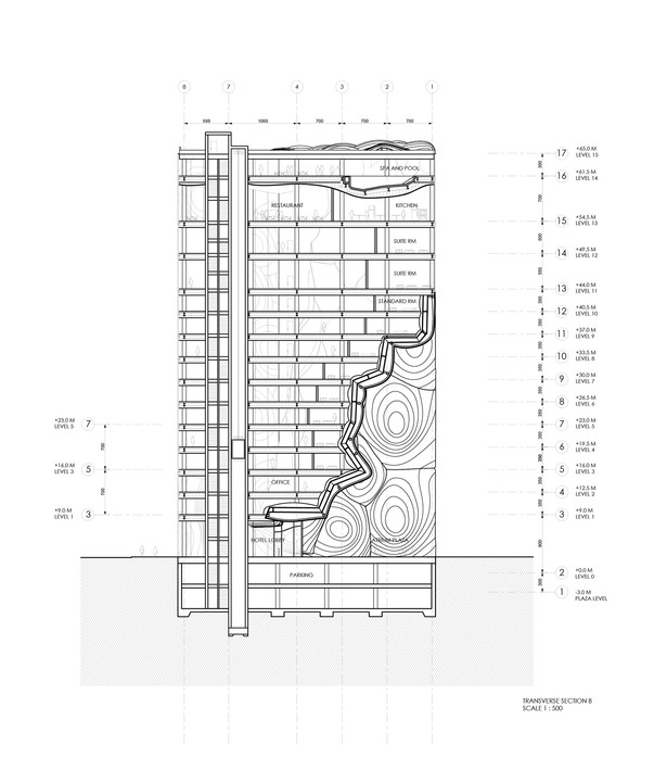 Transverse section B