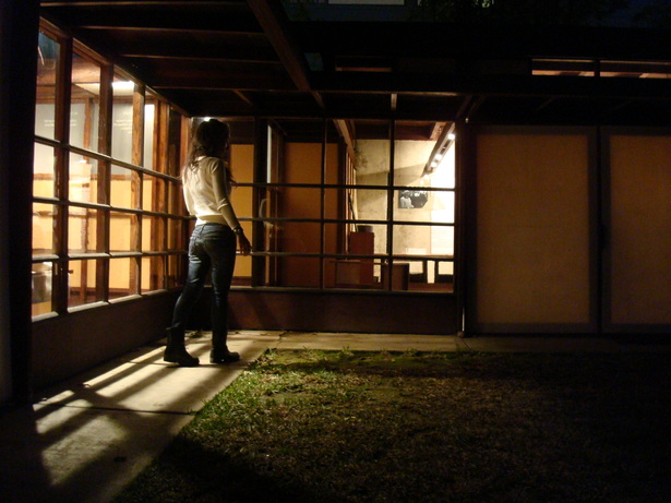 The Shed
