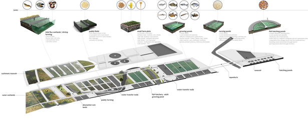 Aquacultural Systems