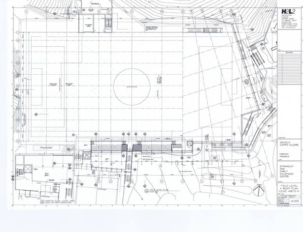 Field level and Roof Plan