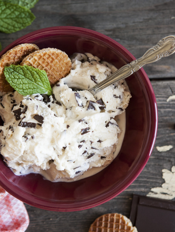 Trader Joe's Mint Chip Ice Cream