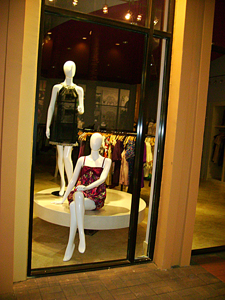 Window Display