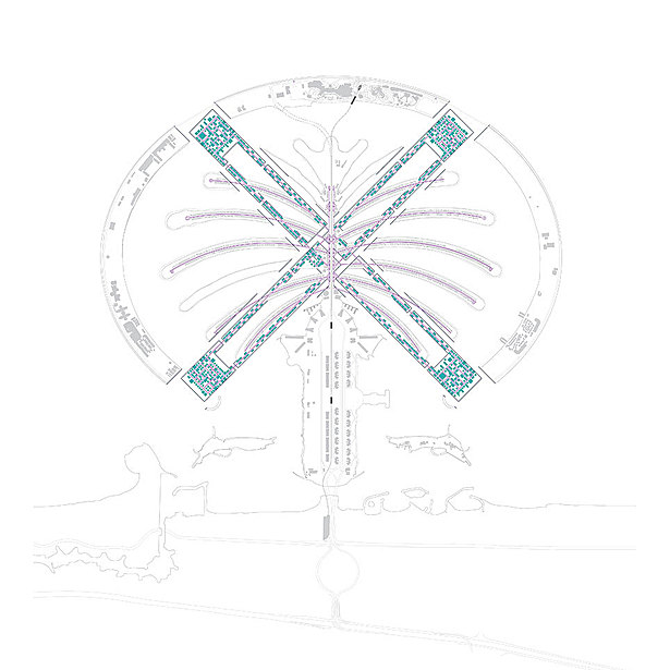 X-Palm - reFORM plan