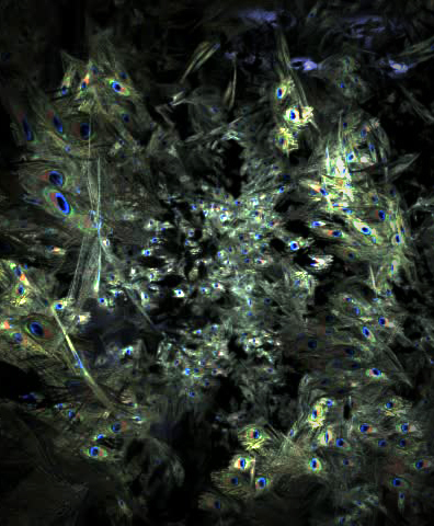 Sensory Space Rendering.
