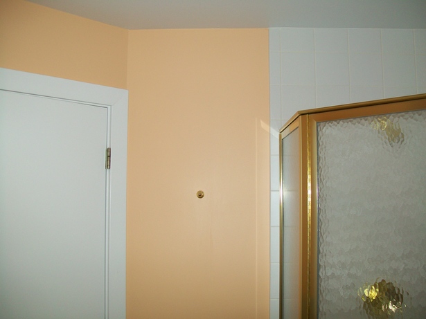 Existing bath photo