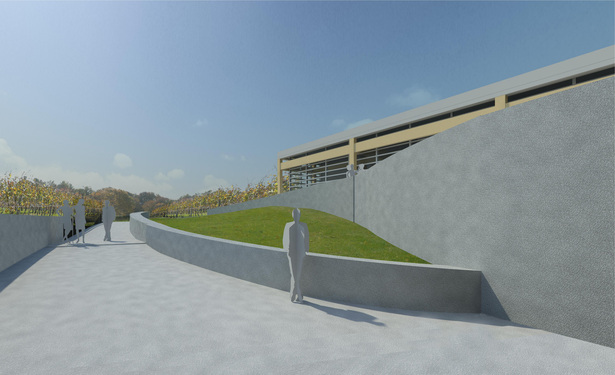 Lower Ramp to tasting room