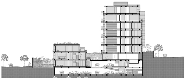 Section 