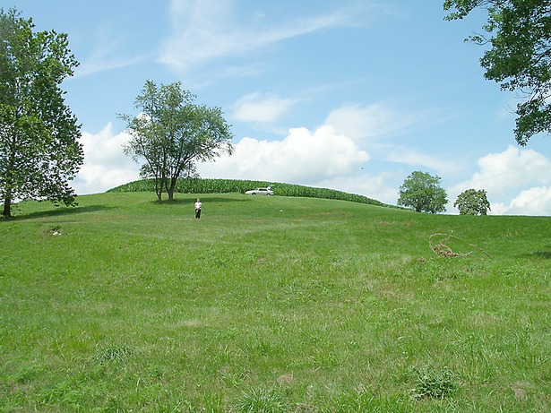 The Site