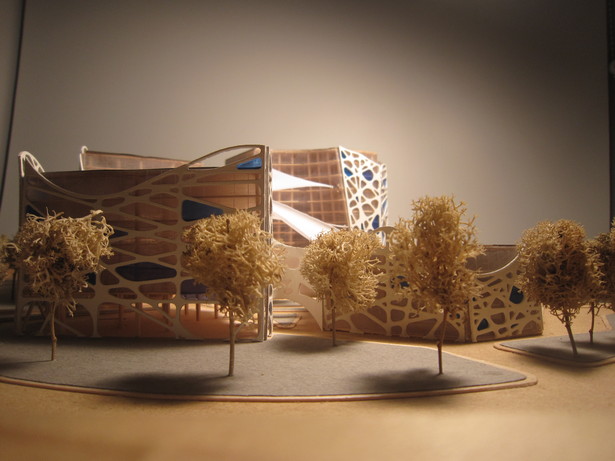 Florida Cardiology Hospital 5-Hand Made/Laser Cutter-24