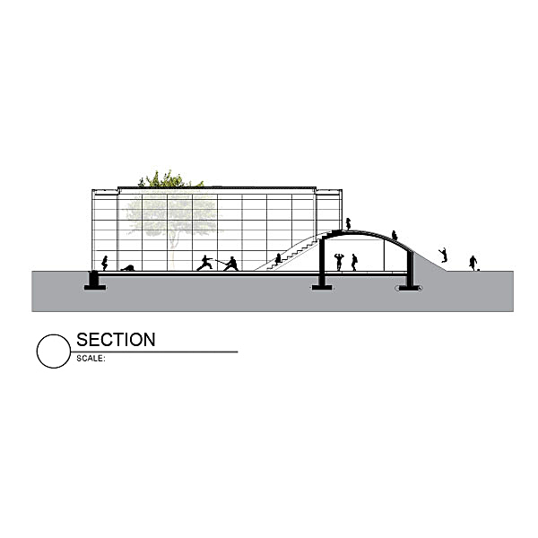 Section