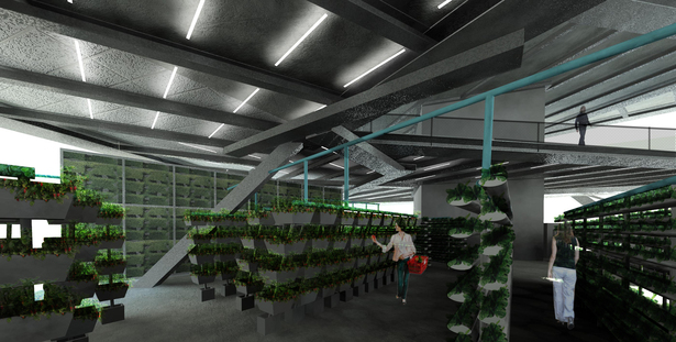 Interior Rendering of Crop Grow Space