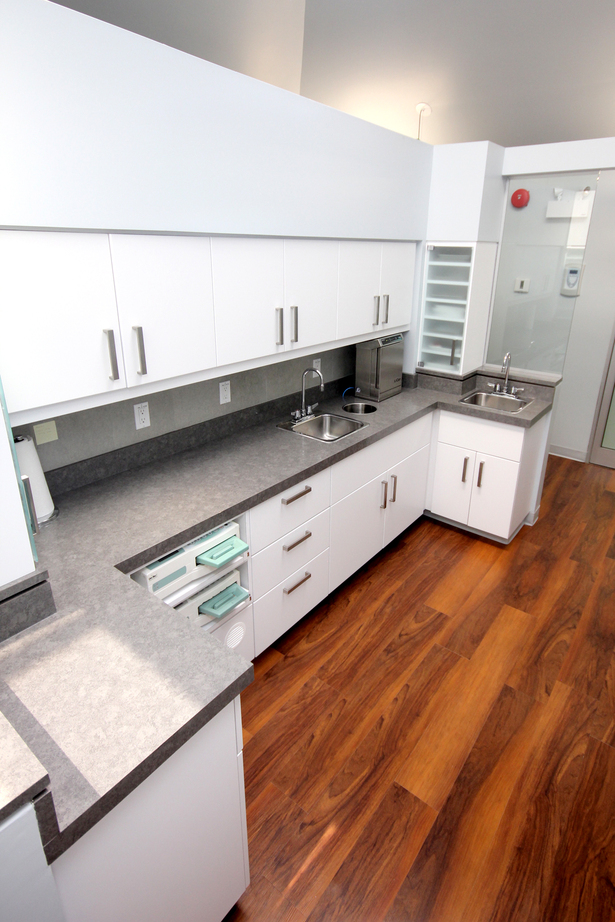 The custom cabinetry of the sterilization area