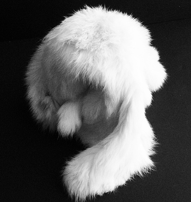 Final Model with Fur