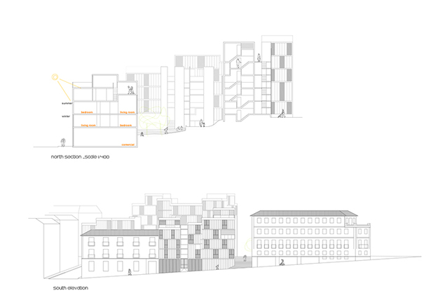 section + elevation
