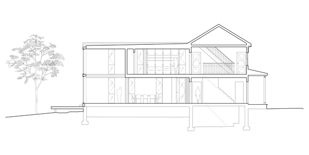 Longitudinal Section