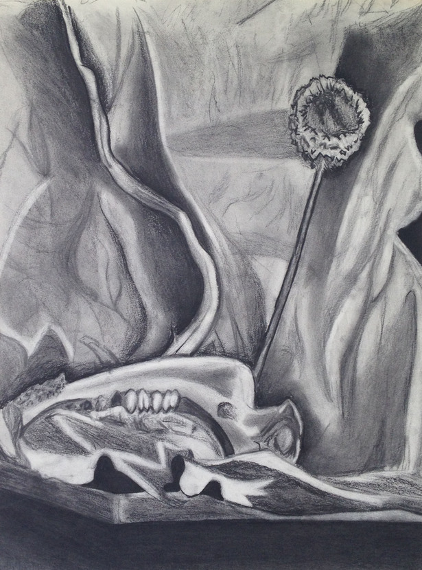 Still Life, Charcoal