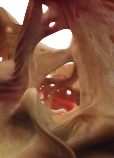 2x2m region