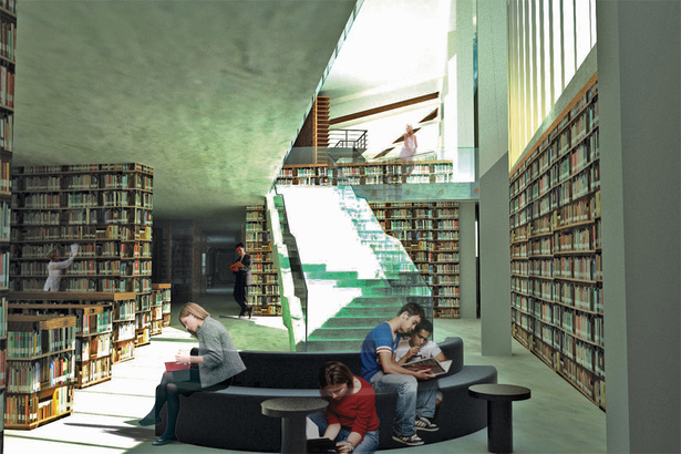 Stacks area and social niche