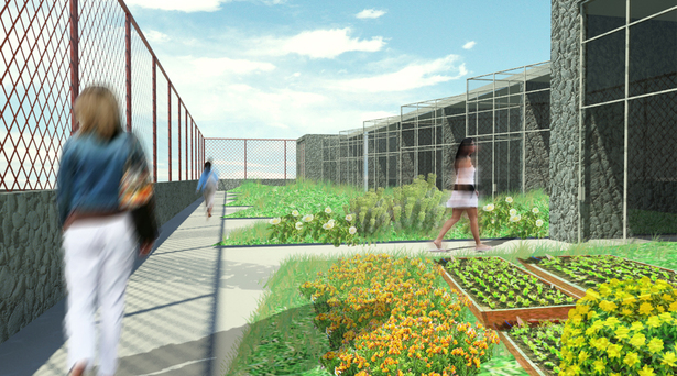 Roof Gardens Sketch