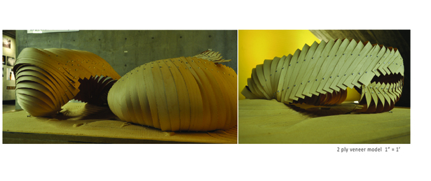 veneer model of proposal