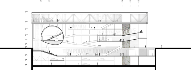 cross section 2