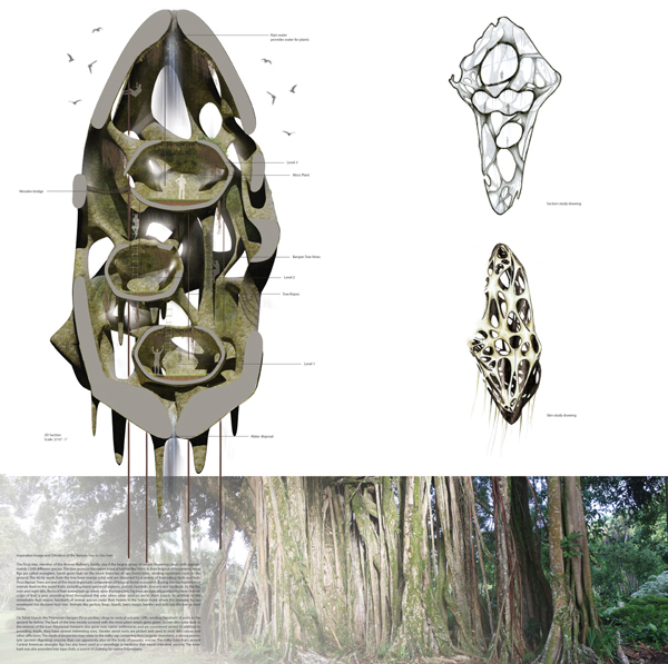 3D Section