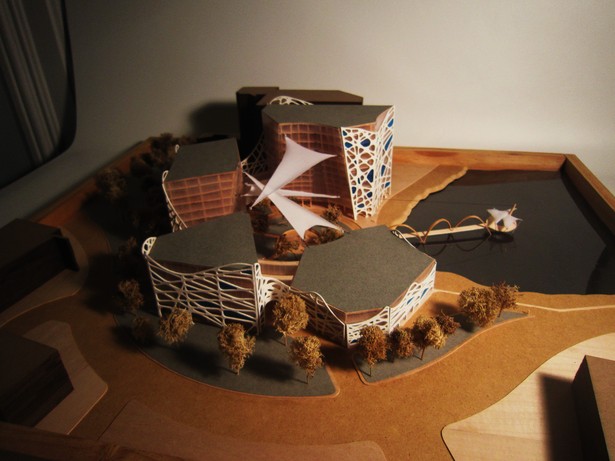Florida Cardiology Hospital 4-Hand Made/Laser Cutter-24