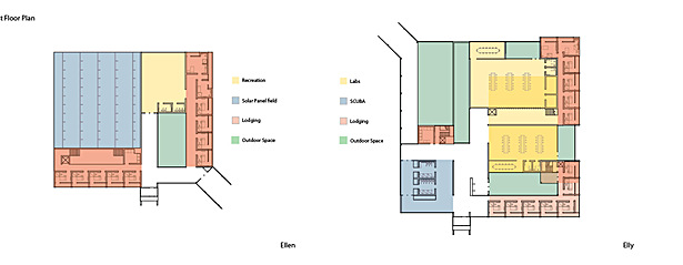 Program/Plan Organization