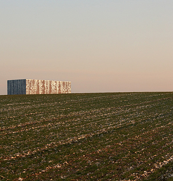A view in the evening