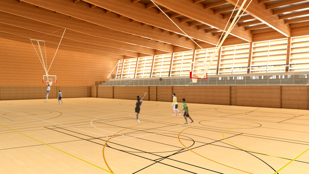 Multi-sport court
