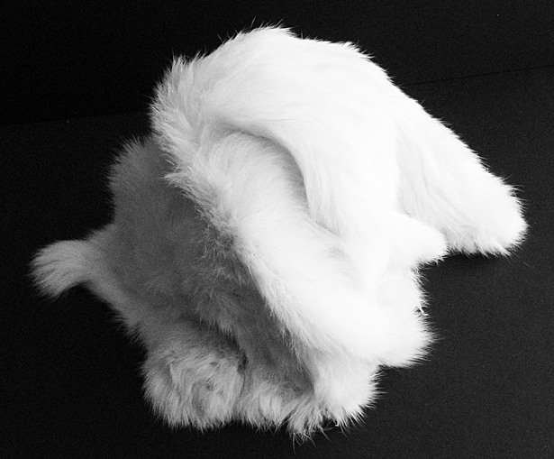 Final Model with Fur