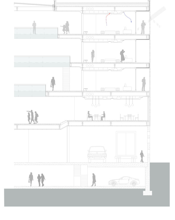 Detail Section