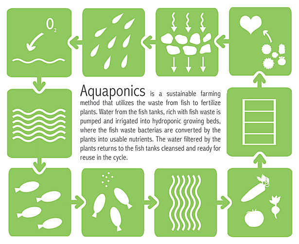 Aquaponics diagram