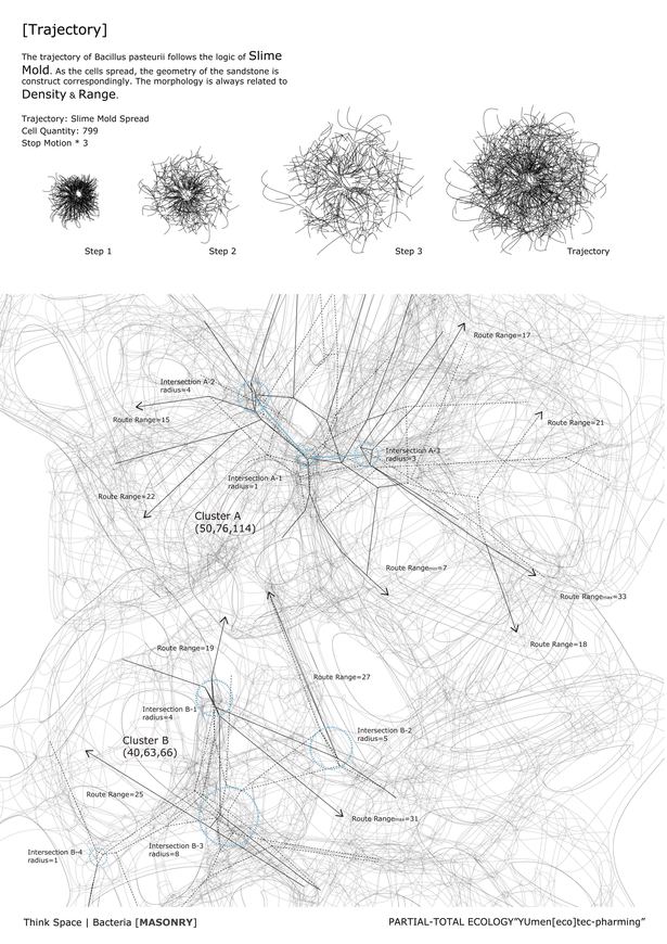 Machine_BacteriaBiocementation Trajectory