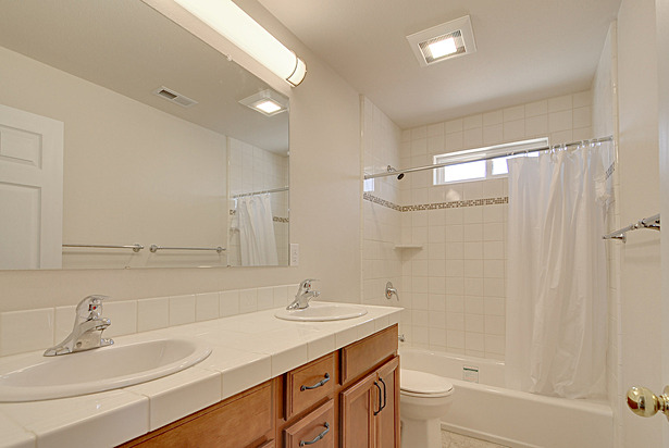 Tiling, Vanity Installation, Sink Installation