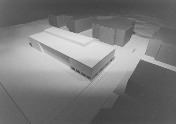 Study model