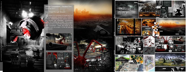 Competition Entry 2011